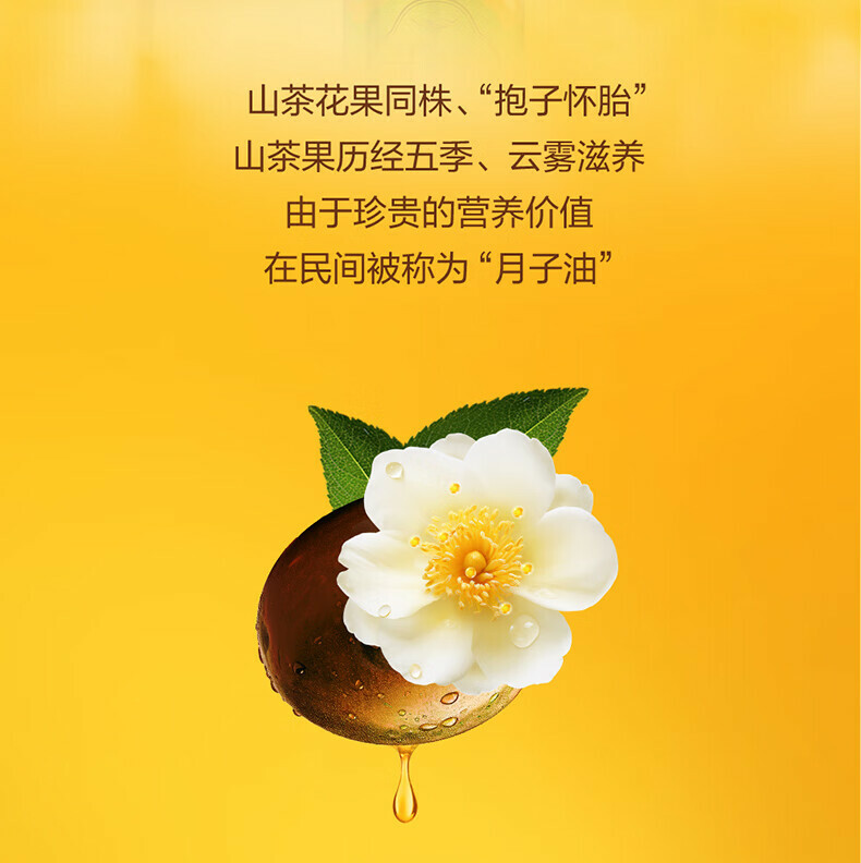 Width 800 1709623648